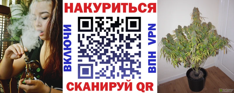 Бошки Шишки сатива Стрежевой